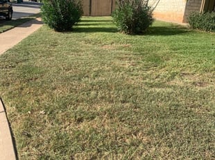 Leaf Removal by Moises Perez for Radhika S. in Cedar Park, TX
