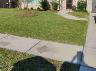 Cris T.'s Lawn Care service result