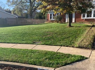 Leaf Removal by candelario castillo for George L. in Alexandria, VA