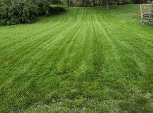 Terry L.'s Lawn Mowing service result