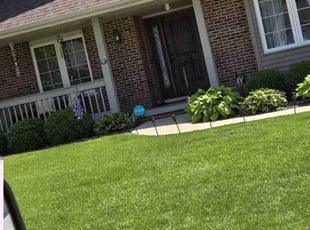 Patrice W.'s Grass Cutting service result