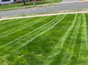 Tom M.'s Lawn Service service result