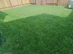 Wesley K.'s Lawn Mowing service result