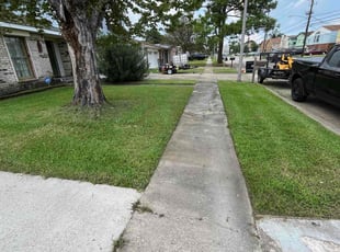 Blanche J.'s Lawn Mowing service result