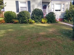 Bush Trimming by Dave Henley for Shelley V. in Richmond, VA