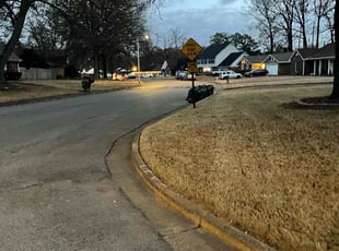 Leaf Removal by Jasmine Harris for Lawrence M. in Memphis, TN