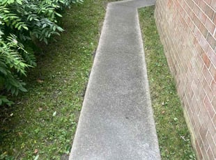 Cleanups by Bryan Oren for Bill W. in Virginia Beach, VA