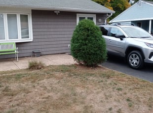 Bush Trimming by Savin Ungaro for Tandy R. in East Hartford, CT
