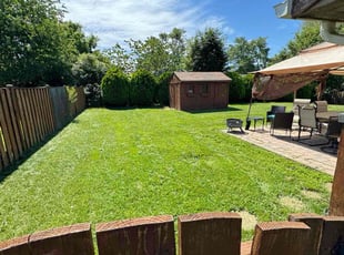 Rachael V.'s Lawn Care service result