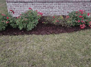 Weeding by Lisa Langford for michael g. in Alabaster, AL