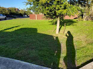 Pallas F.'s Lawn Care service result