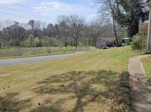 Randolph J.'s Lawn Service service result