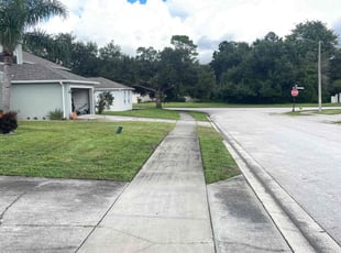 Felix R.'s Lawn Mowing service result
