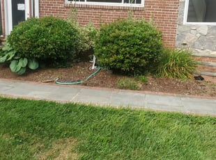 Weeding by Rose Valle for Joshua W. in Fairfax, VA