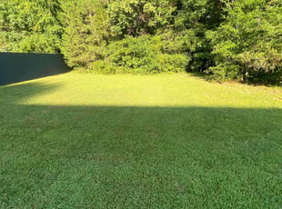 Xavier M.'s Lawn Service service result