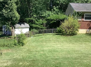 Brad H.'s Grass Cutting service result