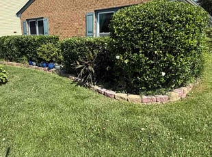 Bush Trimming by DJ Walker for Diana U. in Virginia Beach, VA