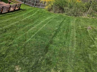 Silvia D.'s Lawn Maintenance service result