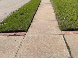 Cynthia & Patrick L.'s Lawn Mowing Service service result