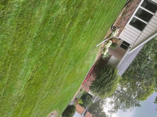 Carole L.'s Lawn Care service result