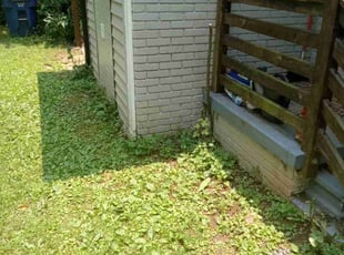Bush Trimming by Darius Baugh for Monica M. in Atlanta, GA