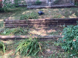 Weeding by Jackie Lindfors for Jackie F. in Minneapolis, MN