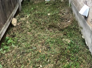 Cleanups by Bradley Matthiesen for Nicholas L. in San Antonio, TX