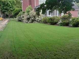 Diana v.'s Lawn Service service result
