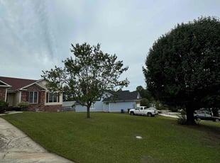 Tammy T.'s Grass Cutting service result