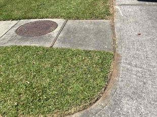 Adam T.'s Lawn Mowing Service service result