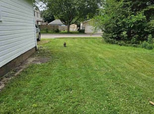 Mary L.'s Lawn Mowing Service service result