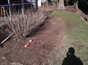 Cleanups by Trevor Philipp for Rosie F. in Virginia Beach, VA