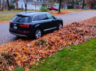 Leaf Removal by Kevin Rhyne for Katharine G. in Madison, WI