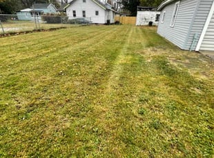 Raenae l.'s Grass Cutting service result