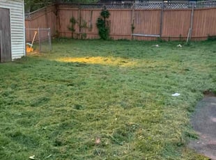 Cleanups by Johnny Canales for Patty O. in New Britain, CT