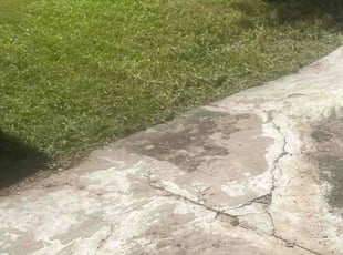 Delinda C.'s Lawn Maintenance service result