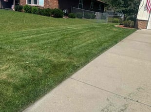 Richard R.'s Lawn Service service result
