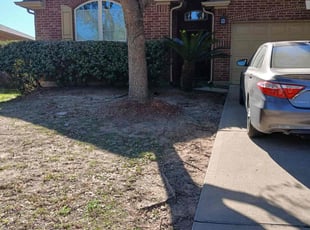 Leaf Removal by Ana Zelaya for Reginald S. in Richmond, TX