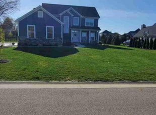 Vasila M.'s Yard Cutting service result