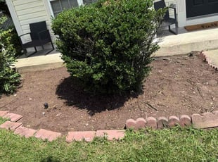 Weeding by Arthur Bailey for Justin M. in Dumfries, VA