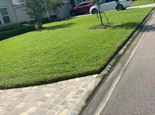 Roseline S.'s Lawn Mowing Service service result