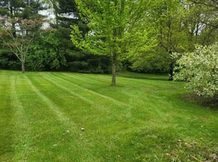 James S.'s Lawn Service service result