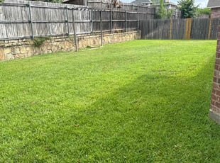 Alma R.'s Lawn Mowing Service service result
