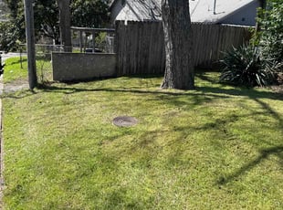 Nick F.'s Lawn Mowing Service service result