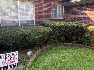 Bush Trimming by Louis Nelson for Bruce P. in Hurst, TX