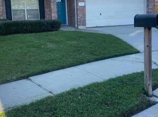 Harold B.'s Lawn Care service result