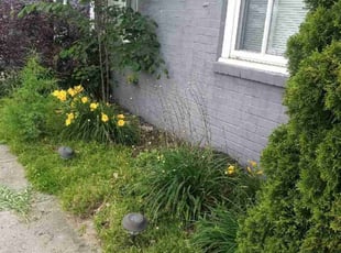 Weeding by Amber Ginter for Nick B. in Dayton, OH