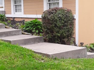 Bush Trimming by Julio Almestica for Ronyta J. in Grandview, MO