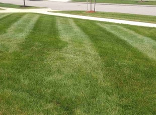 Kristie B.'s Lawn Care service result