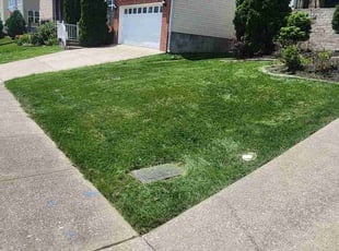 Harrison H.'s Lawn Maintenance service result